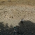 L1010183