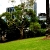 i sat on a bench, had my meal and fed the birds..
