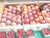 DSC01463