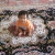 about12_lg