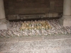 DSC00977