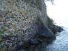 DSC01190
