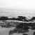 DSC_0001_3