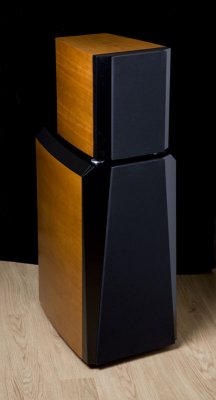 pass labs SR1 speakers