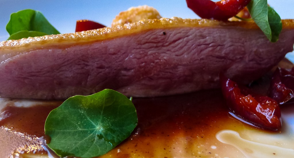 duck breast